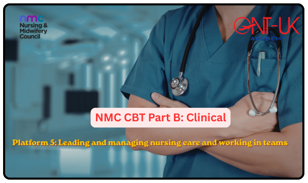 Platform 5: Leading and managing nursing care and working in teams